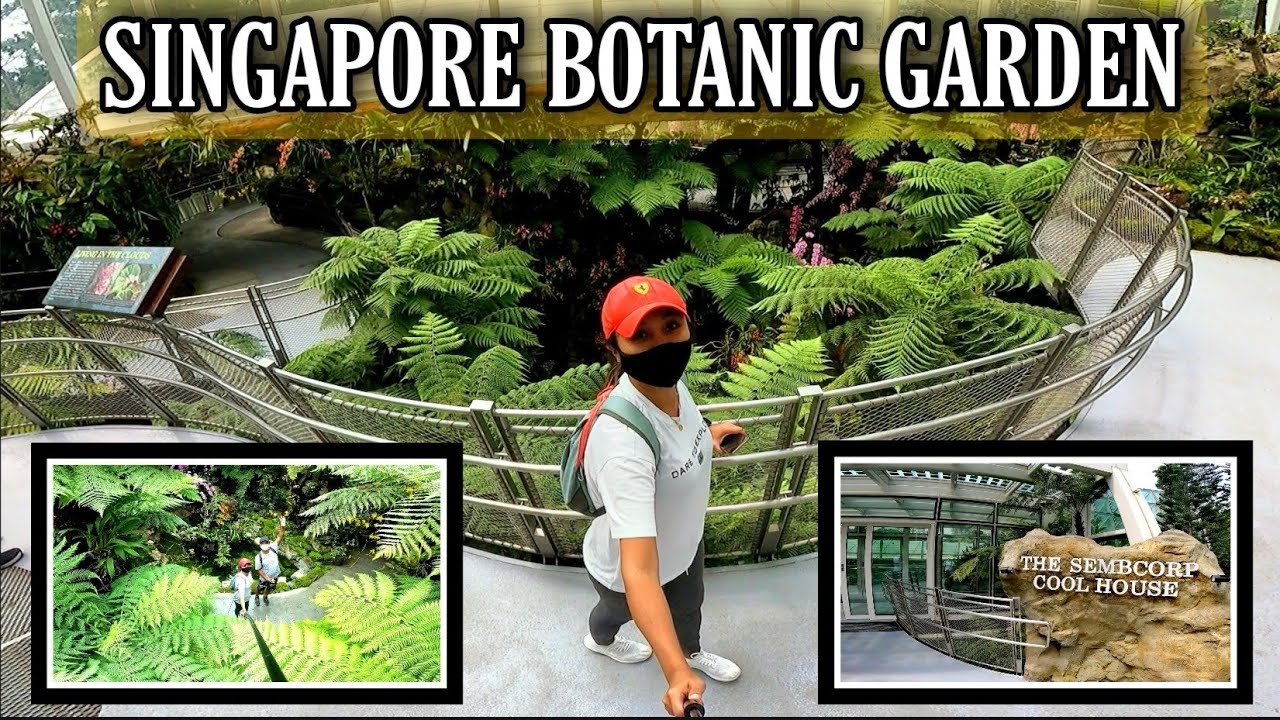 Inside SEMBCORP COOL HOUSE | Beautiful places to chill and relax around Botanic Garden