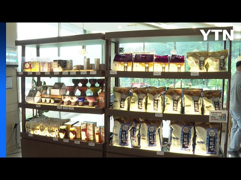 [경기] 이천 농업테마공원에 상설 '이천 팜 마켓' 오픈 / YTN