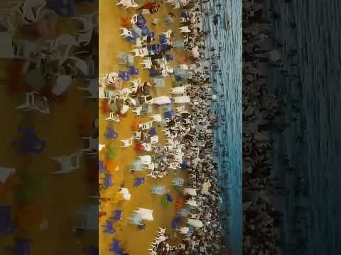 منورين يا فلاحين مصر شواطى اسكندريه احلى فلاحين فى العالم