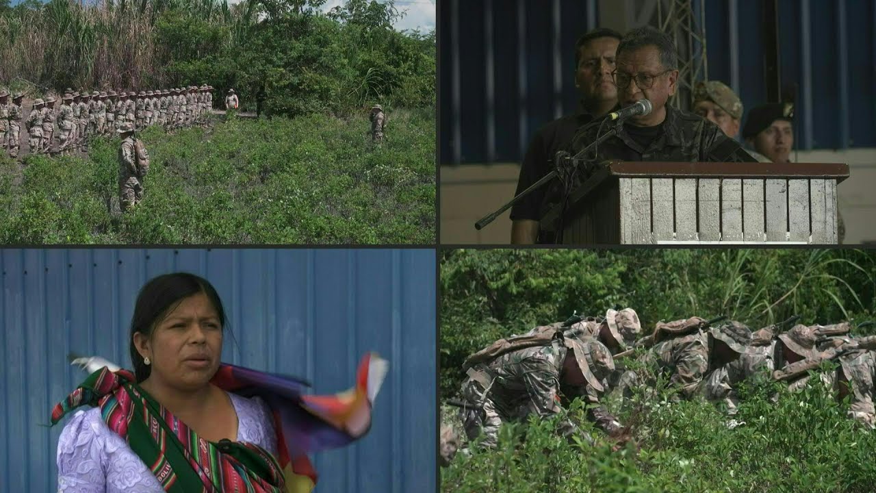 Cocaleros en Bolivia expresan temor por erradicación de coca y presencia de la DEA | AFP