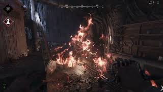 Assassin bug - Hunt:Showdown
