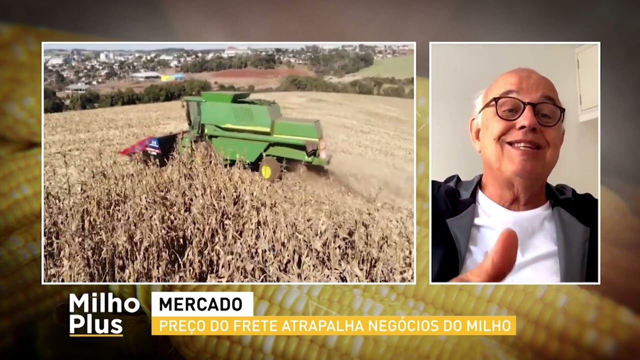 Milho Plus com Cesário Ramalho | AgroMais