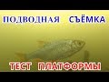 Подводная съемка. Рыба есть и много. Тест платформы