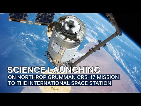 Science Launching on Northrop Grumman CRS-17 Mission to the Space Station