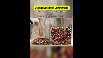 Chemical Equilibrium Explained! 🧑‍🔬🧪 #neet2025 #jeemains2025