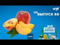 Как выбрать вкусные персики | «ПОЛЕЗНАЯ ПРОГРАММА». Выпуск 66 — 25.08.2020