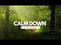 Calm Down - short film by Witalij Miskow