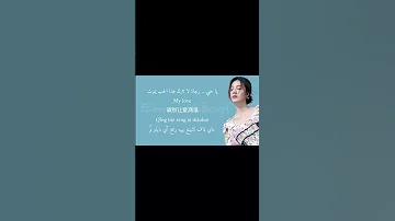 اغنية صينية جديدة لاتدع هذا الحب يذبل كتير حلوة حبيت الاشتراك 