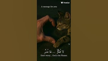 قران كريم بصوت جميل جدا