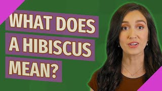 What does a hibiscus mean?