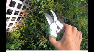 Grootpow - Pps01 Premium Byp Pruning Shears, Aluminum Construction Garden Clippers