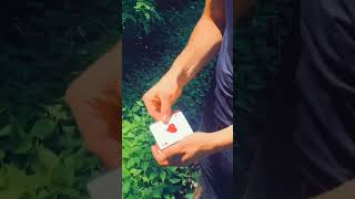 Still doing zoom shows and online lessons! Tell your friends 🔮 #magic #magician #cardistry