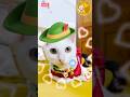 Sao nỡ lướt qua, Meo biết mà 😘 #funnyshorts #funnypets #bossmèo #shorts #youtube #meow #cat