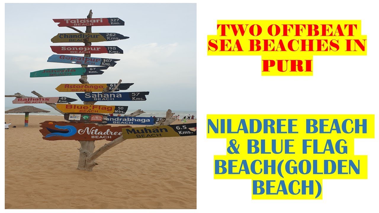 TWO OFFBEAT BEACHES IN PURI THAT YOU SHOULD VISIT. NILADREE BEACH