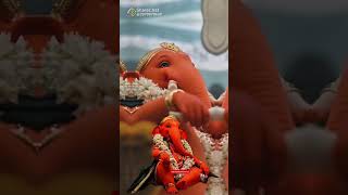 Ganpati bappa morya 😘🚩🙏🙏🙏🫶💗 #shortviral #shorttrending #shortsfeed #viral