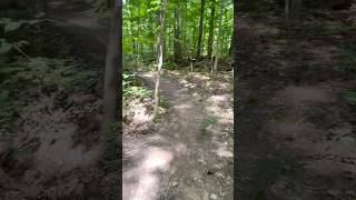 Looking around on a trail