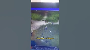 Muonline auto kill S2