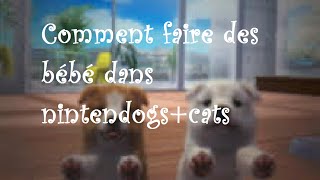 Comment faire des bébés dans Nintendogs+cats