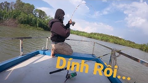 Quay Lại Điểm Câu Cá Ngát Có Ngờ Đâu