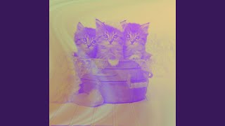 Urbane Cozy Kittens