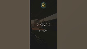 ❤️ أَمَّن يُجِيبُ الْمُضْطَرَّ إِذَا دَعَاهُ وَيَكْشِفُ السُّوءَ # تلاوة ماهر المعيقلي #ماهر المعيقل
