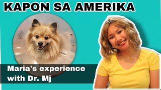 Spay In Dog Doc Mj Veterinarian