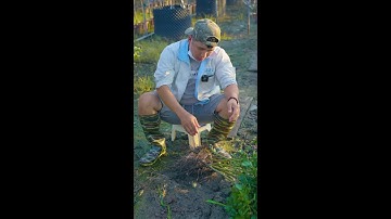 0386700914các loại hoa và cây cảnh của các nhà vườn mời mọi người chiêm ngưỡng