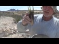 How to Plant and Cultivate Vetiver Grass (Fragrant Roots ...