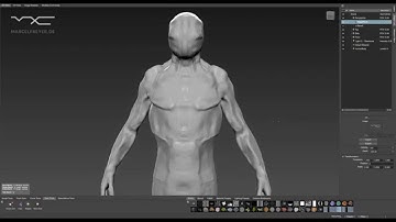 THE POLLYWOG - Mudbox 3D Sculpture