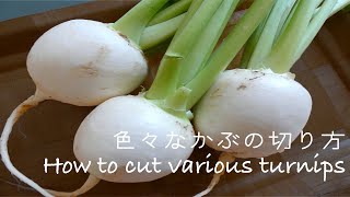 【プロが教える野菜の切り方動画】色々なかぶの切り方How to cut various turnips