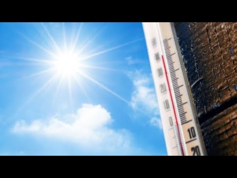피해 막아라!…정부, 폭염 대비 총력전  / YTN 사이언스