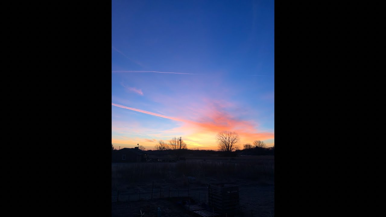 Backyard Gardening & Morning Inspiration