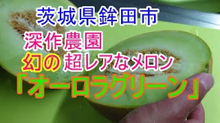 茨城県鉾田市の深作農園の幻の超レアなメロン「オーロラグリーン」を食べてみました