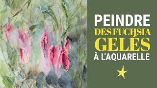 Peindre des fuchsias gelés à l&#39;aquarelle - MOYEN