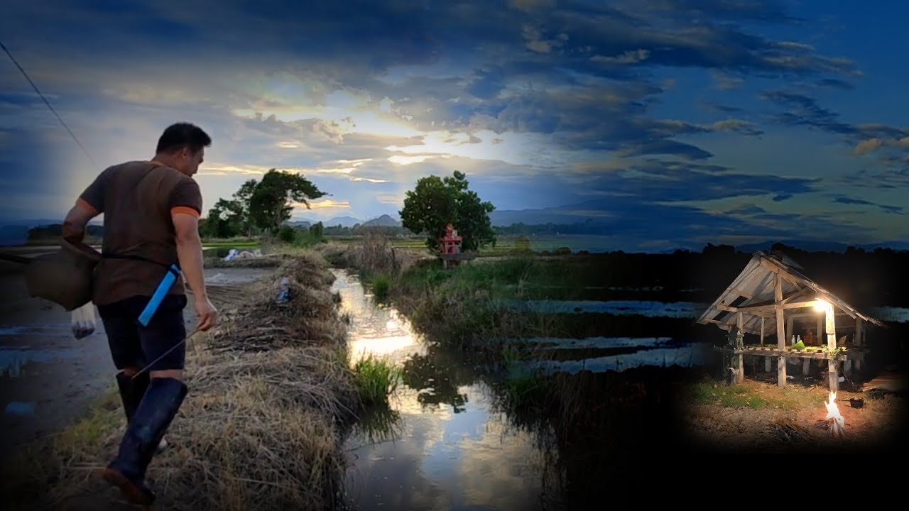 ปักเบ็ดหมายปลาชุมปลากินเบ็ดสนั่นตะข้องเกือบไม่พอใส่
