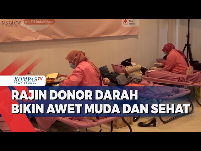 Rajin Donor Darah Bikin Awet Muda dan Sehat class=