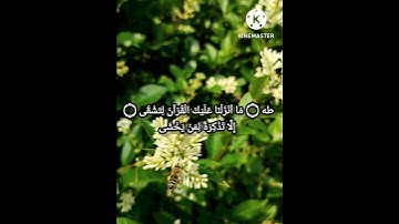 تلاوة عطرة للشيخ (محمد الليثي )رحمه الله/ #quran
