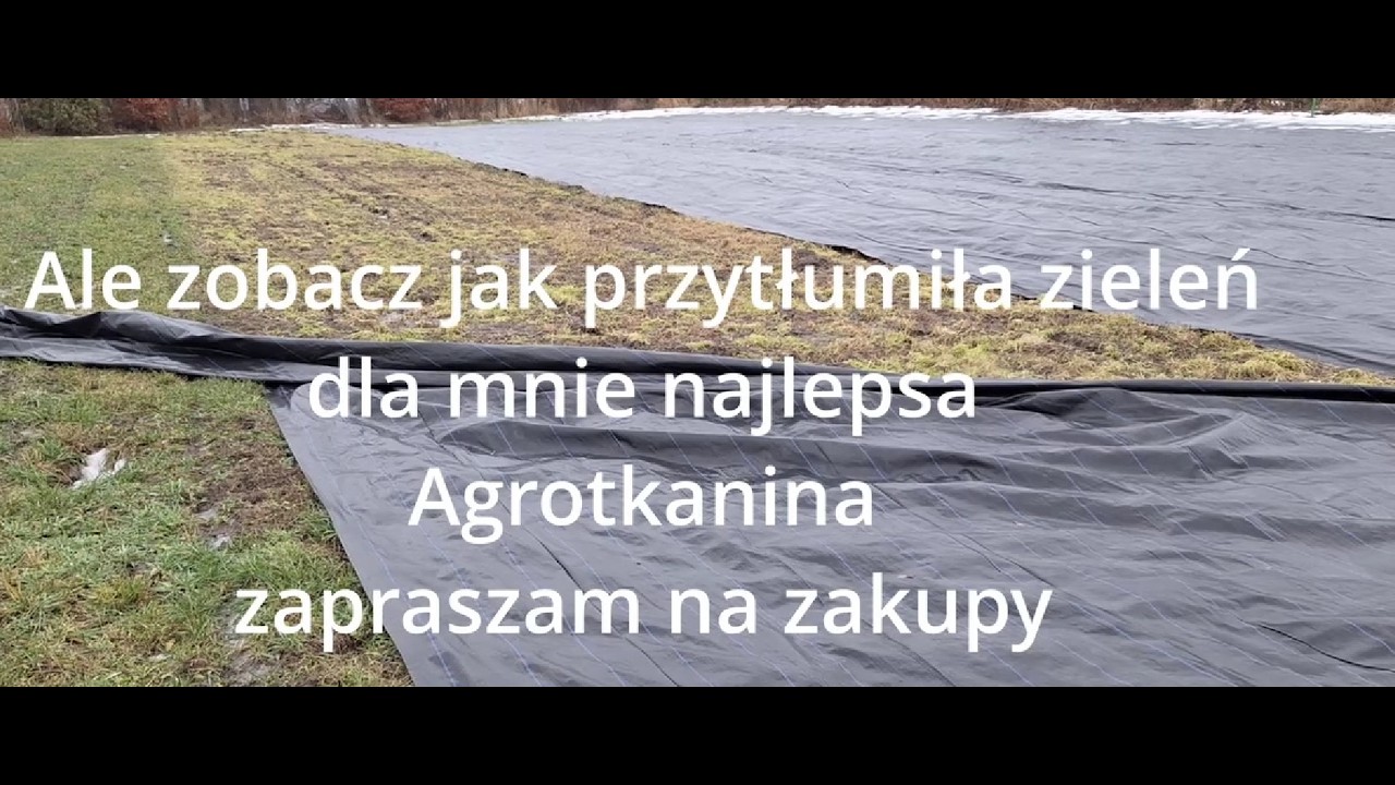 Agrotkanina 100 Gram w 2 miesiące zimy widocznie zagłuszyła zieleń Mój Faworyt Dzień 2/100