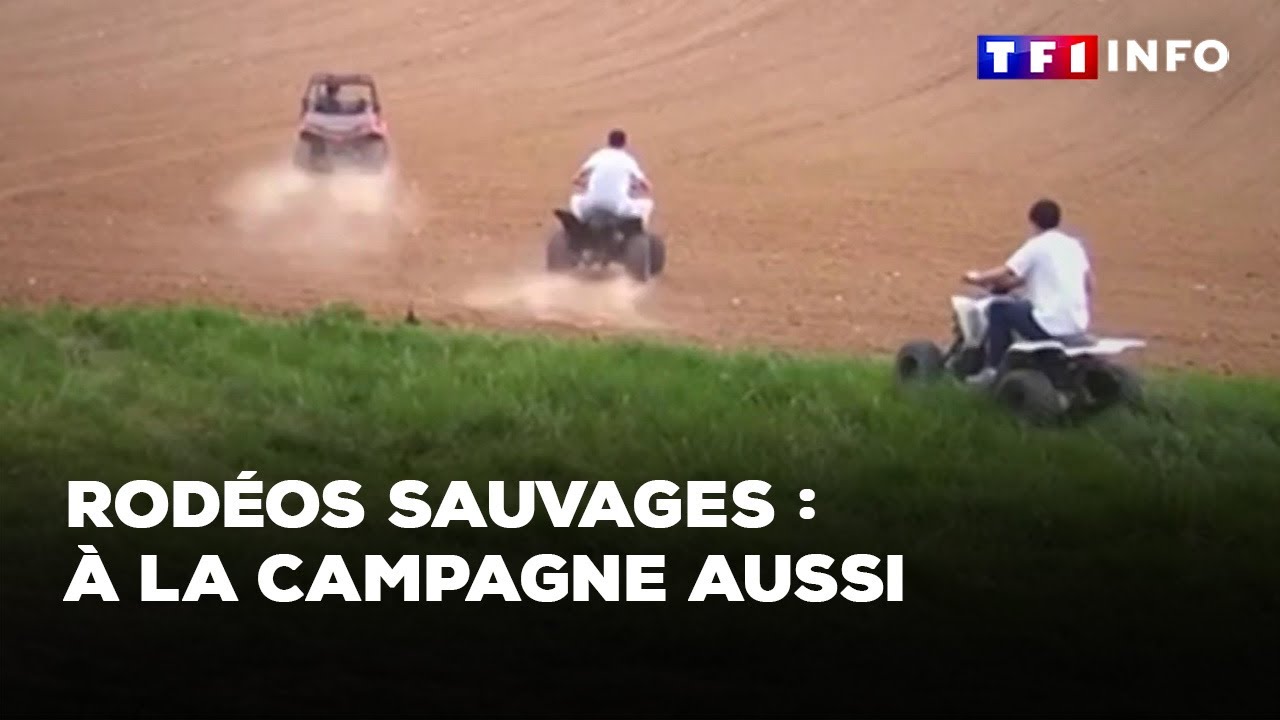 Rodéos sauvages : à la campagne aussi ｜TF1 INFO