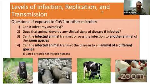 Covid-19 and livestock care Dr. Chris Baughman