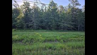 5.0 AC Joyce Kilmer Road, Roscommon, MI - 201841453