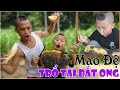 Mao Đệ Tay Không Bắt Ong Rừng Siêu Hài – Thèm Rỏ Rãi Với Cách Ăn Bánh Mỳ Chấm Mật Ong Của Mao Đệ Đệ