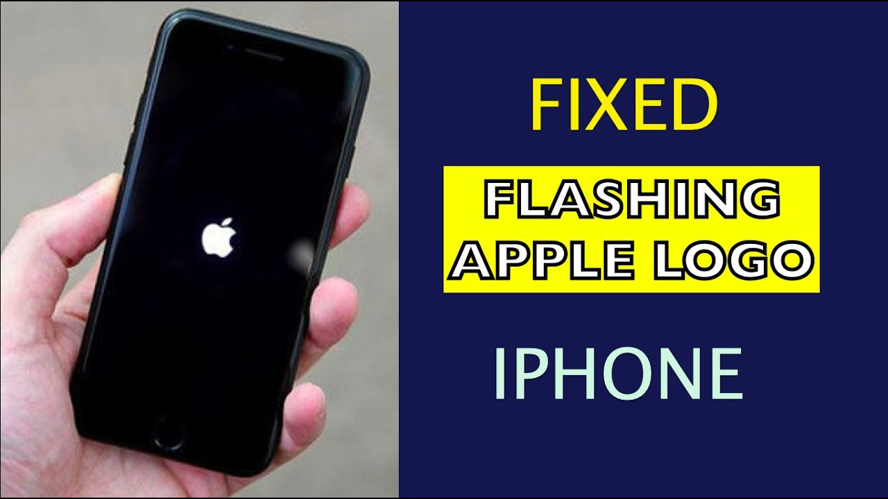 Fix Flashing Apple Logo On IPhone iPad Without Losing Any Data YouTube Fix Flashing Apple Logo On IPhone iPad Without Losing Any Data YouTube