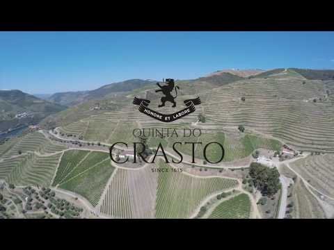 Quinta do Crasto, Douro, Portugal. Vineyards and Drone 4k