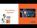 Circulatory System Quiz