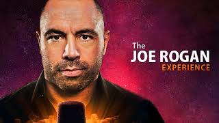 Joe Rogan Steven Pinker   Globalization   Border walls    I'm a very serious 'possibilist'