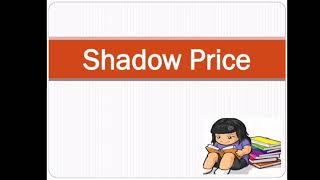 Meaning of shadow price/what is shadow price/UNIDO Approach