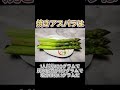 焼きアスパラは低カロリーだけど塩分に注意だった