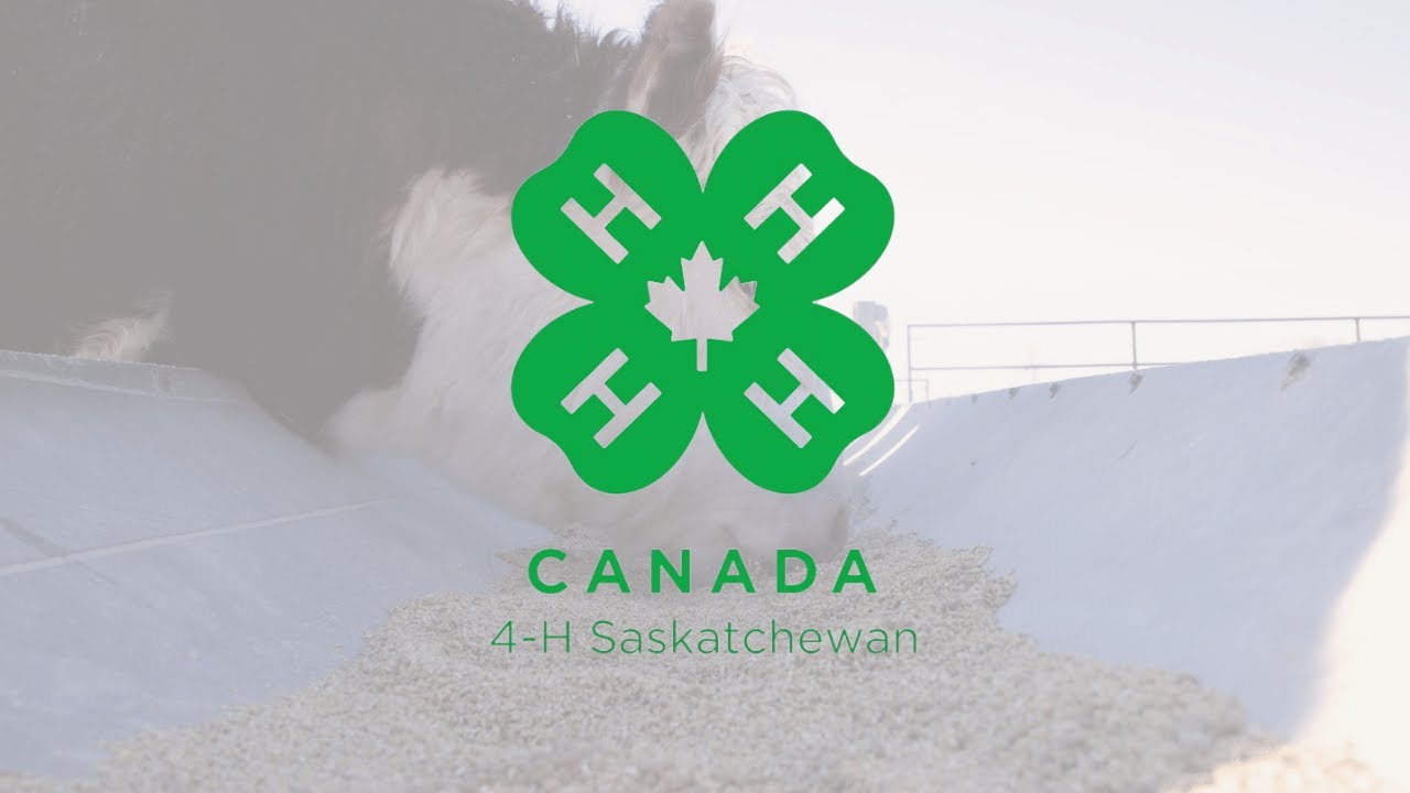 4H Saskatchewan Benefits Promotional Video YouTube