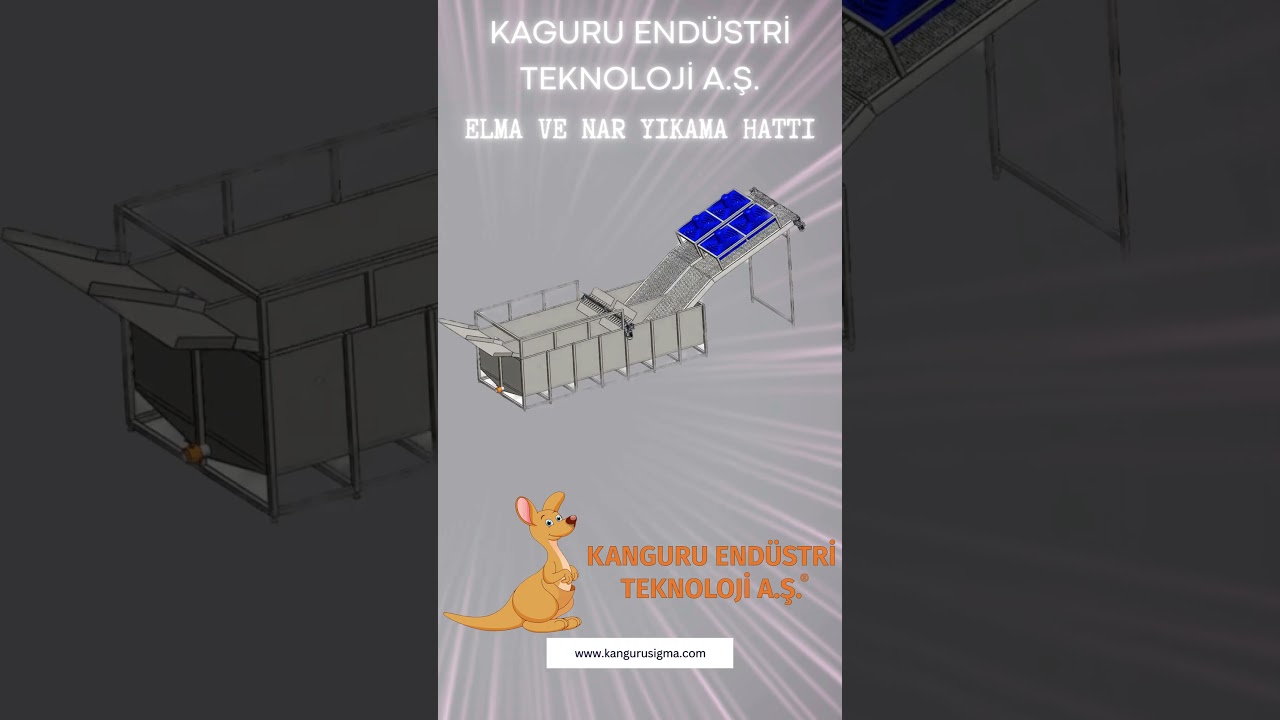 Yağmur Sularıyla Tasarruflu Elma və Nar Yıkama konveyeri | Sürdürülebilir həll #konveyer #tarım
